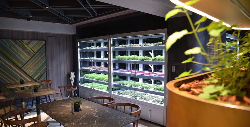 Galleri Micro-Farm by Babylon Micro-Farms