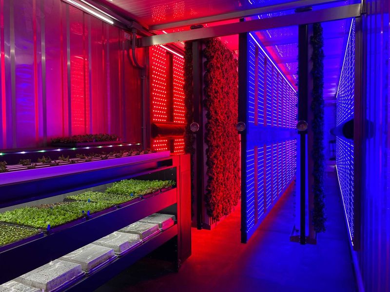 Greenery S container farm by Freight Farms